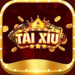 Profile photo of Tài xỉu