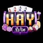 Profile photo of 2haywincom