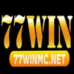 Profile photo of 77Win