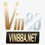 Profile photo of VIN88