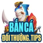 Profile photo of bắn cá đổi thưởng