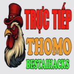 Profile photo of ĐÁ GÀ TRỰC TIẾP THOMO HÔM NAY TẠI CAMPUCHIA