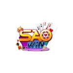 Profile photo of saowintech