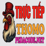 Profile photo of ĐÁ GÀ TRỰC TIẾP THOMO HÔM NAY TẠI CAMPUCHIA