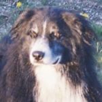 Profile photo of GARY STOCKBRIDGE