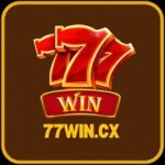 Profile photo of 77wincx