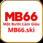 Profile photo of MB66