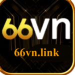 Profile photo of 66vnlink