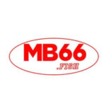 Profile photo of Mb66
