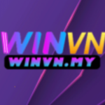 Profile photo of Winvn my