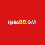 Profile photo of hello88gay