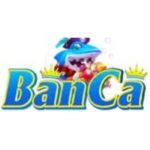 Profile photo of Banca28comvc