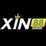 Profile photo of Xin88