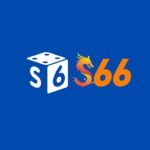 Profile photo of ss666