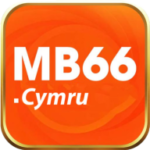 Profile photo of Mb66cymru