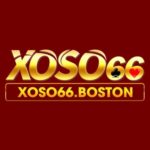 Profile photo of XOSO66