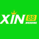 Profile photo of xin88wedding