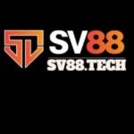 Profile photo of sv88