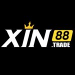 Profile photo of xin88trade