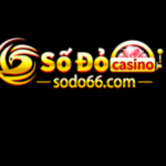 Profile photo of sodo66town