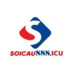 Profile photo of Soi cầu