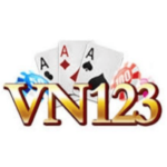 Profile photo of VN123 host