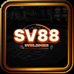 Profile photo of SV88 rocks