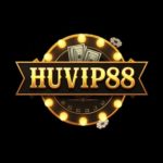 Profile photo of huvip