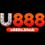 Profile photo of u888nblack