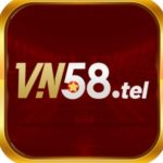 Profile photo of vn58tel