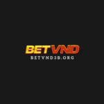 Profile photo of Betvnd