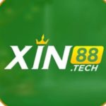 Profile photo of XIN88