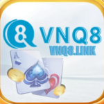 Profile photo of vnq8link