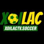 Profile photo of Xoilactv Soccer