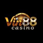 Profile photo of vin88