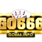 Profile photo of go666info