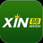 Profile photo of Xin88