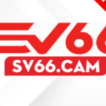 Profile photo of sv66cam