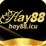 Profile photo of hay88icu