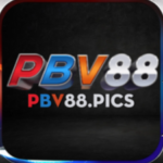 Profile photo of pbv88pics1