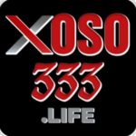 Profile photo of xoso333lifee