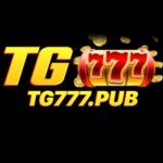 Profile photo of TG777