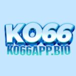 Profile photo of ko66appbio
