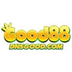 Profile photo of dnsgoodcom