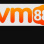 Profile photo of vm88dev