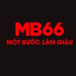 Profile photo of mb66lifestyle