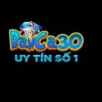 Profile photo of banca30gold