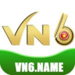 Profile photo of vn6