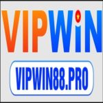 Profile photo of Vipwin