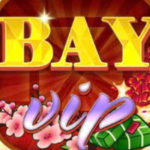 Profile photo of bayvipcam